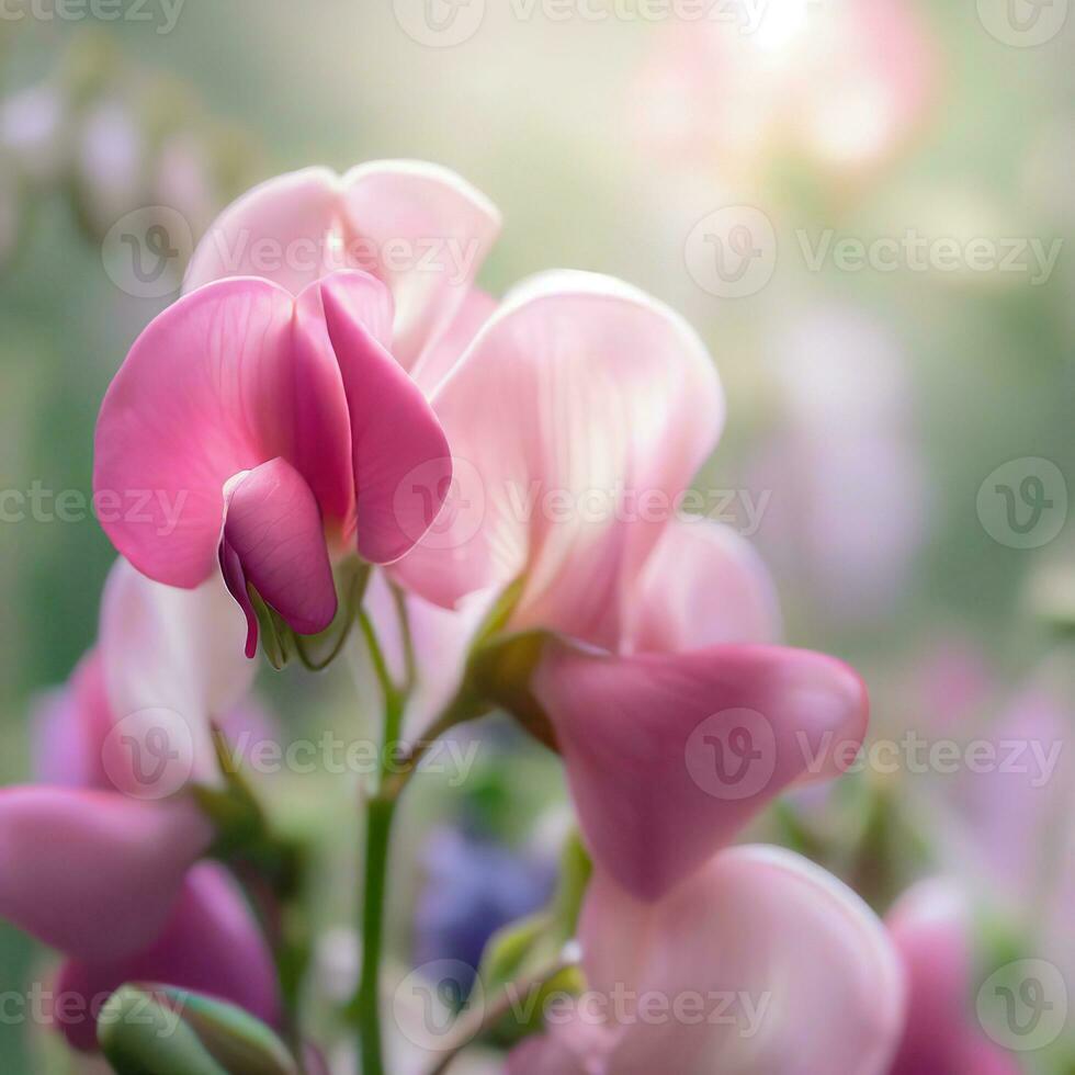 un visión de jardín elegancia, el rosado dulce guisante agrega encanto a ninguna paisaje ,ai generado foto