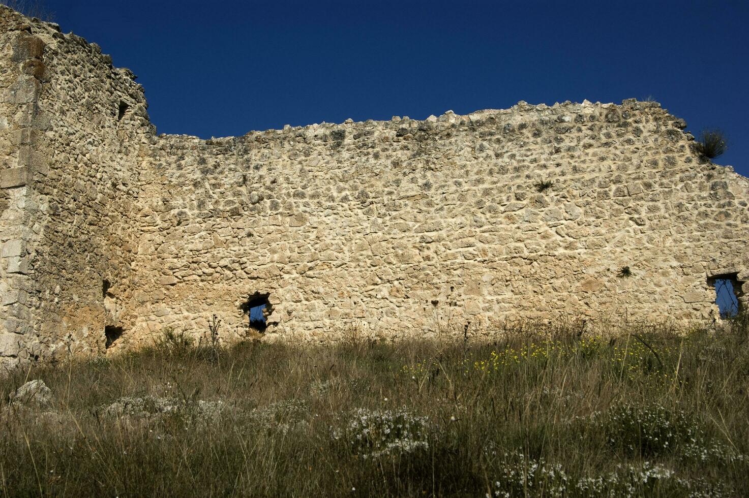 a stone wall with a large bird on it photo