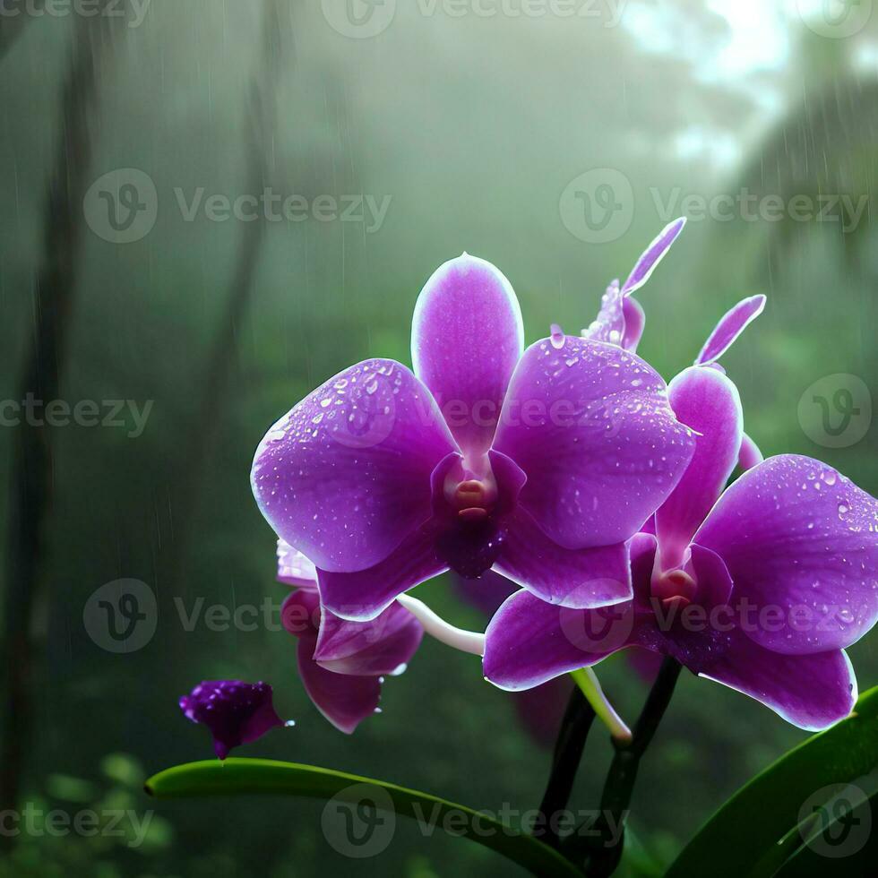 The moth orchid exudes elegance and grace, even on a misty day ,AI Generated photo