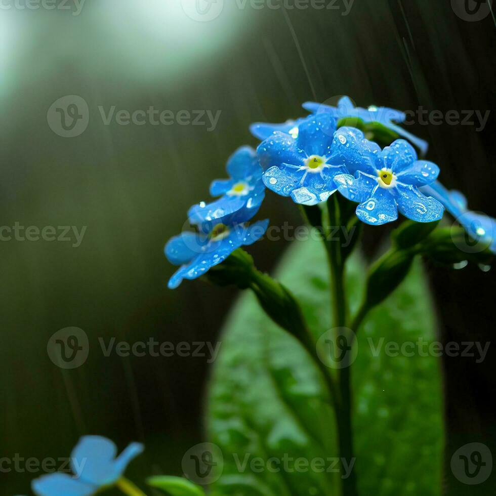 A macro view of the forget-me-not reveals its delicate beauty in intricate detail ,AI Generated photo