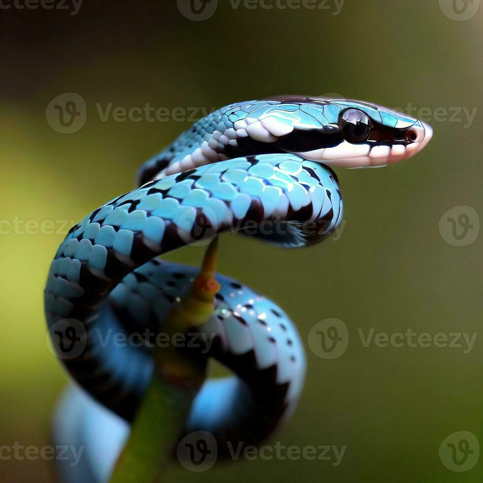 The Speckled Racer's patterned scales provide the perfect camouflage ,AI Generated photo
