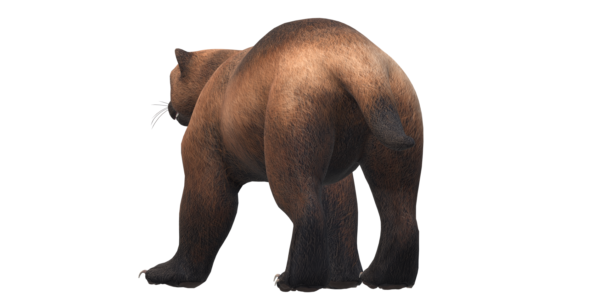 Wolverine isolated on a Transparent Background png