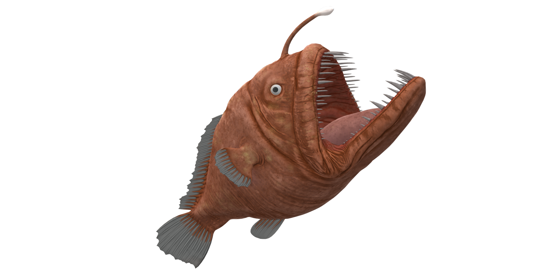 Angler Fish isolated on a Transparent Background png