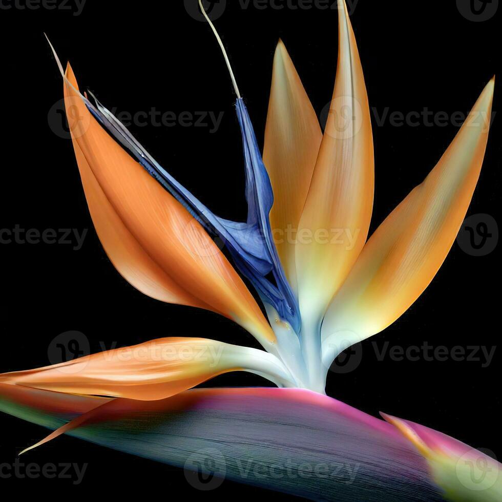 A Close-up of the Bird of Paradise Flower's Intricate Petals ,AI Generated photo