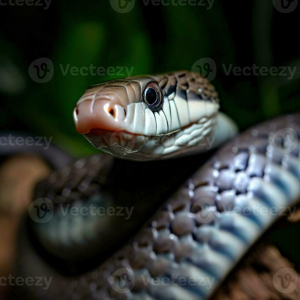 un macro ver de el encaramado negro tipo de serpiente venenosa, de áfrica venenoso víbora ,ai generado foto