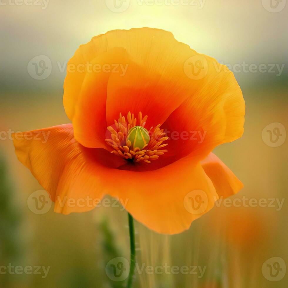 The intricate details of the orange poppy come to life in this macro shot ,AI Generated photo