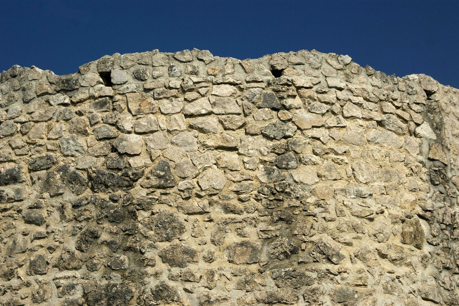 a stone wall with a large bird on it photo