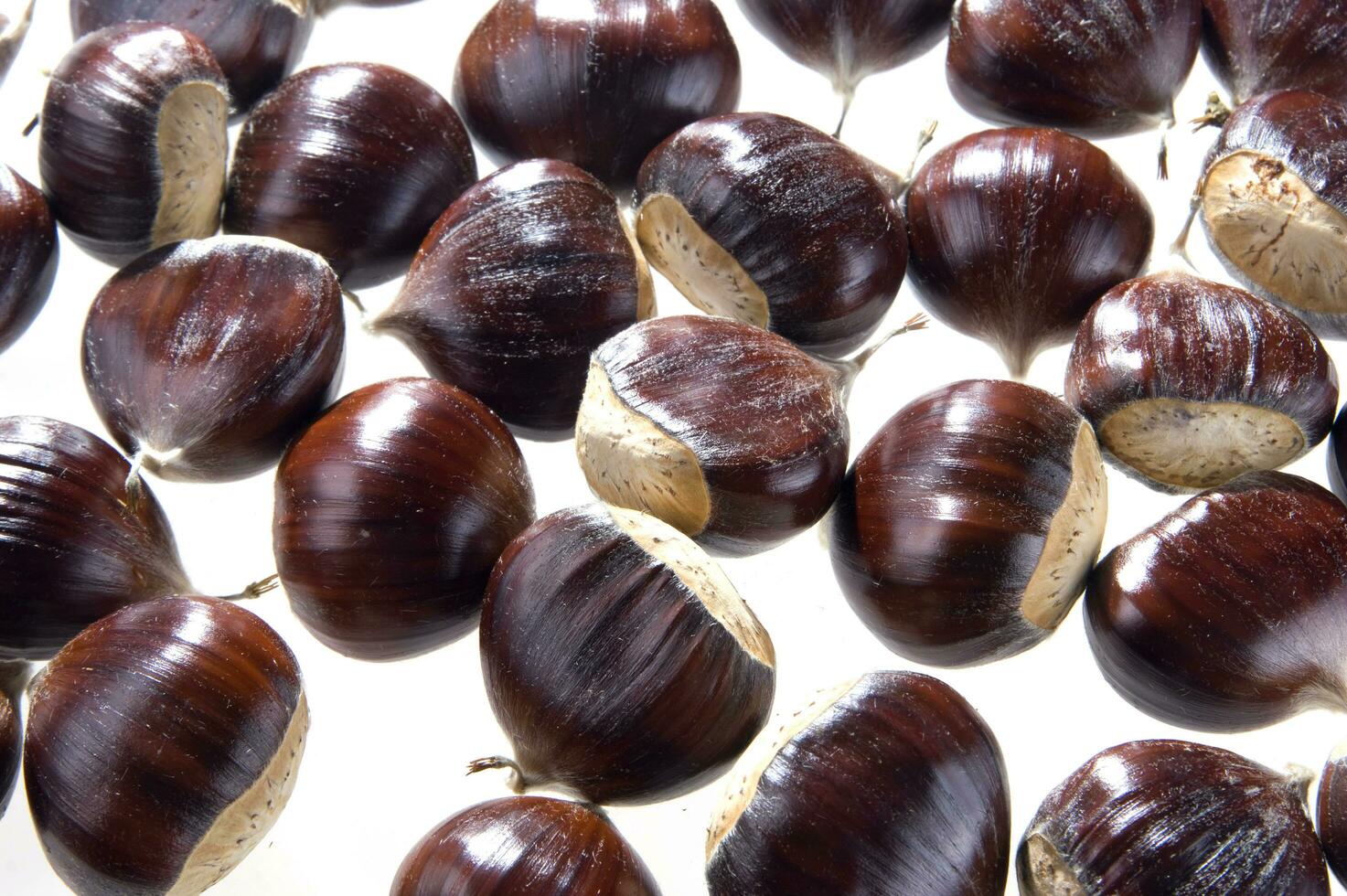 a group of chestnuts on a white background photo