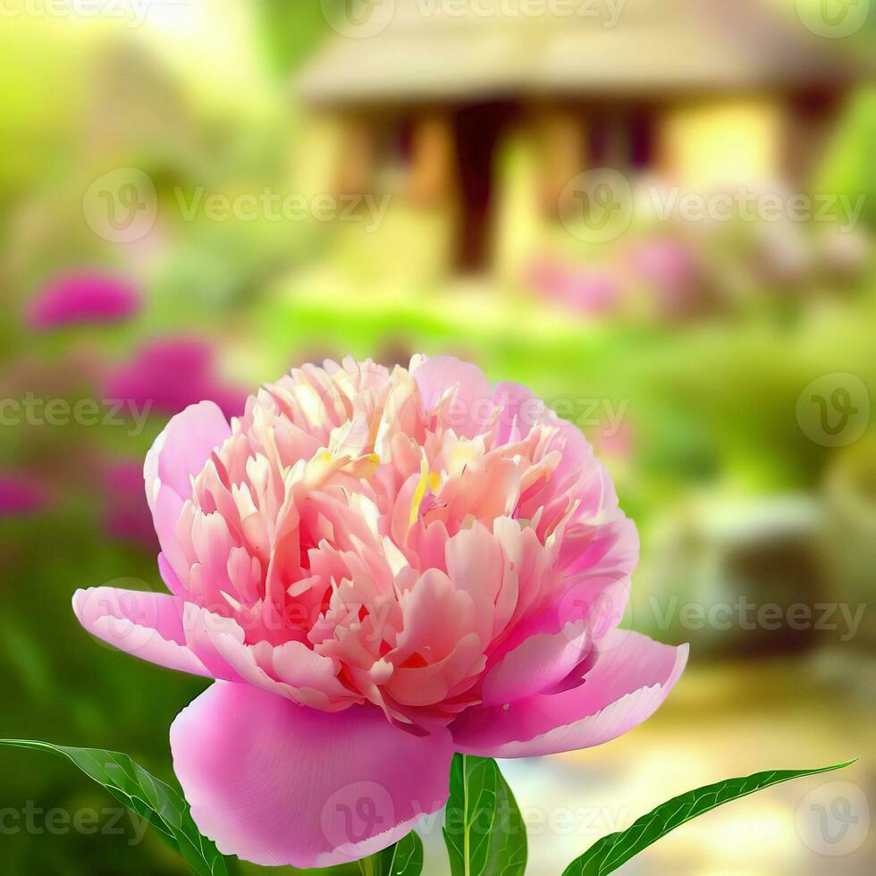 A close-up of a Chinese peony captures the exquisite details of its delicate petals ,AI Generated photo