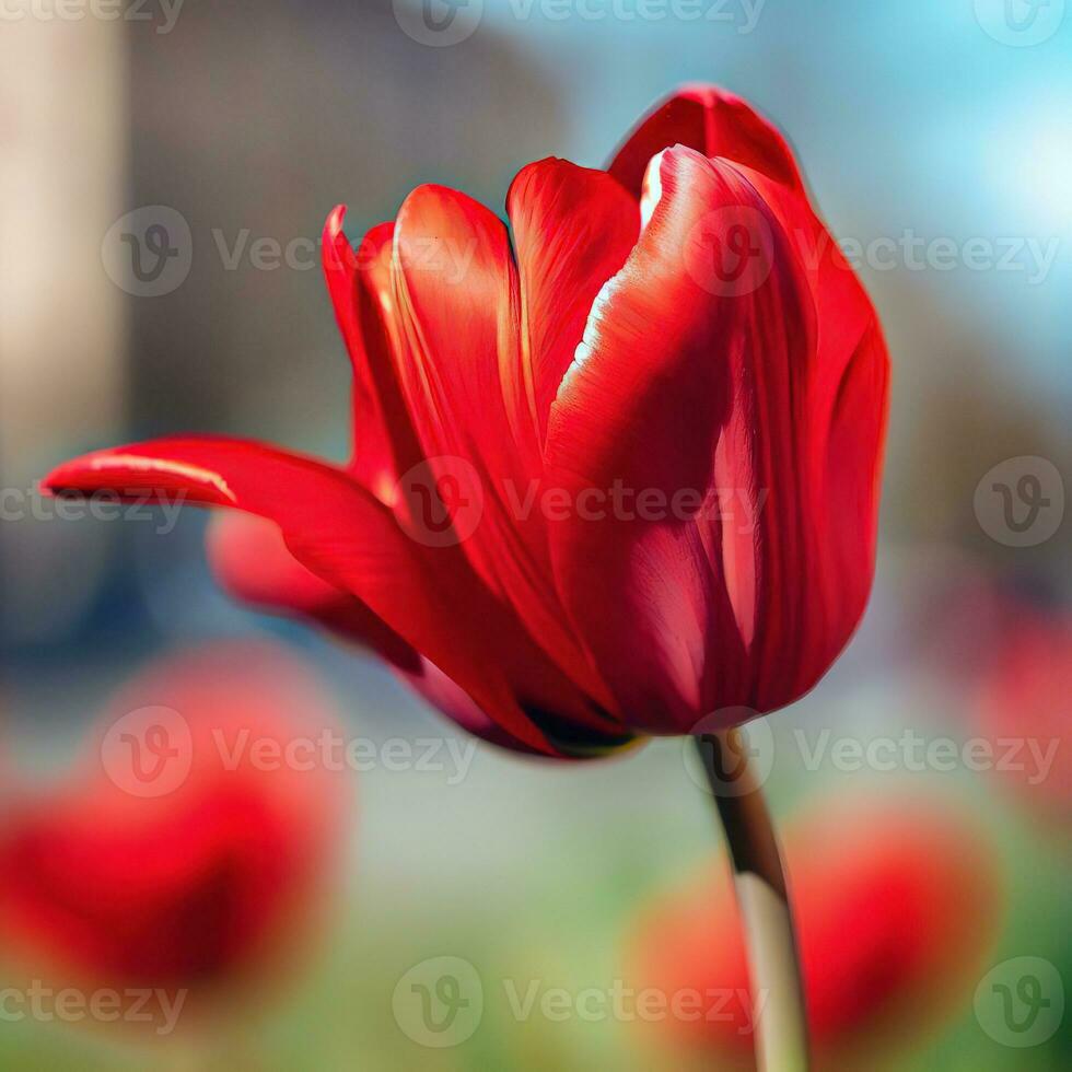 The exquisite beauty of a garden tulip is a sight to behold ,AI Generated photo