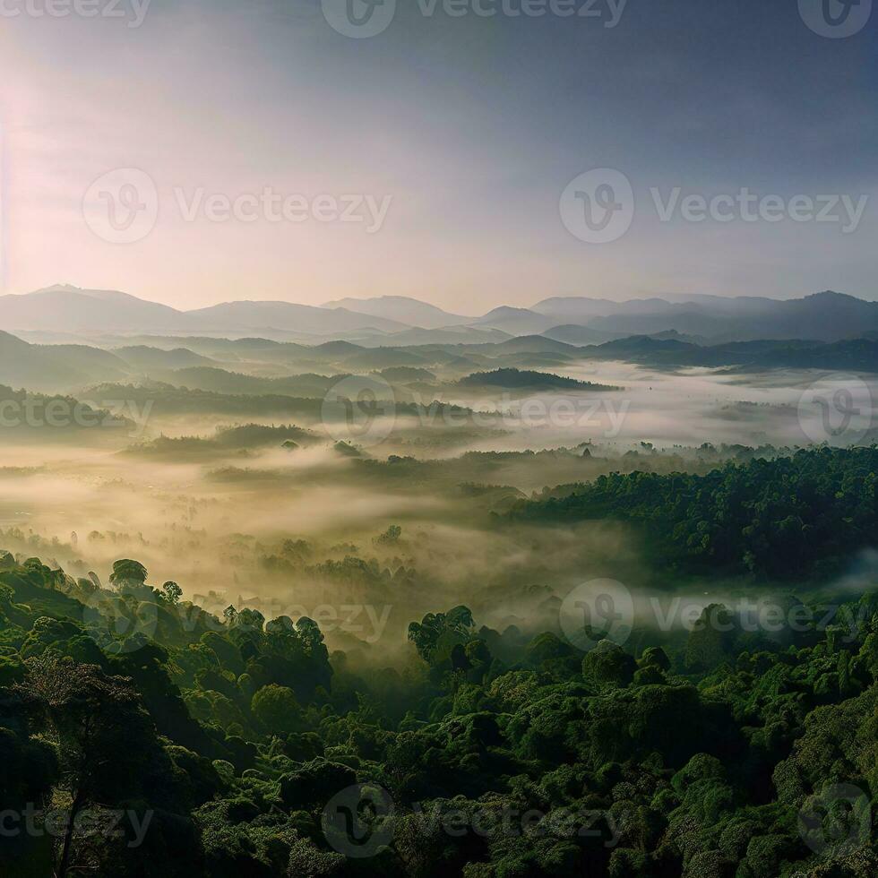 Mañana Brillo Solar selva, Valle de plantas, hermosa selva, Amazonas bosque ,ai generado foto