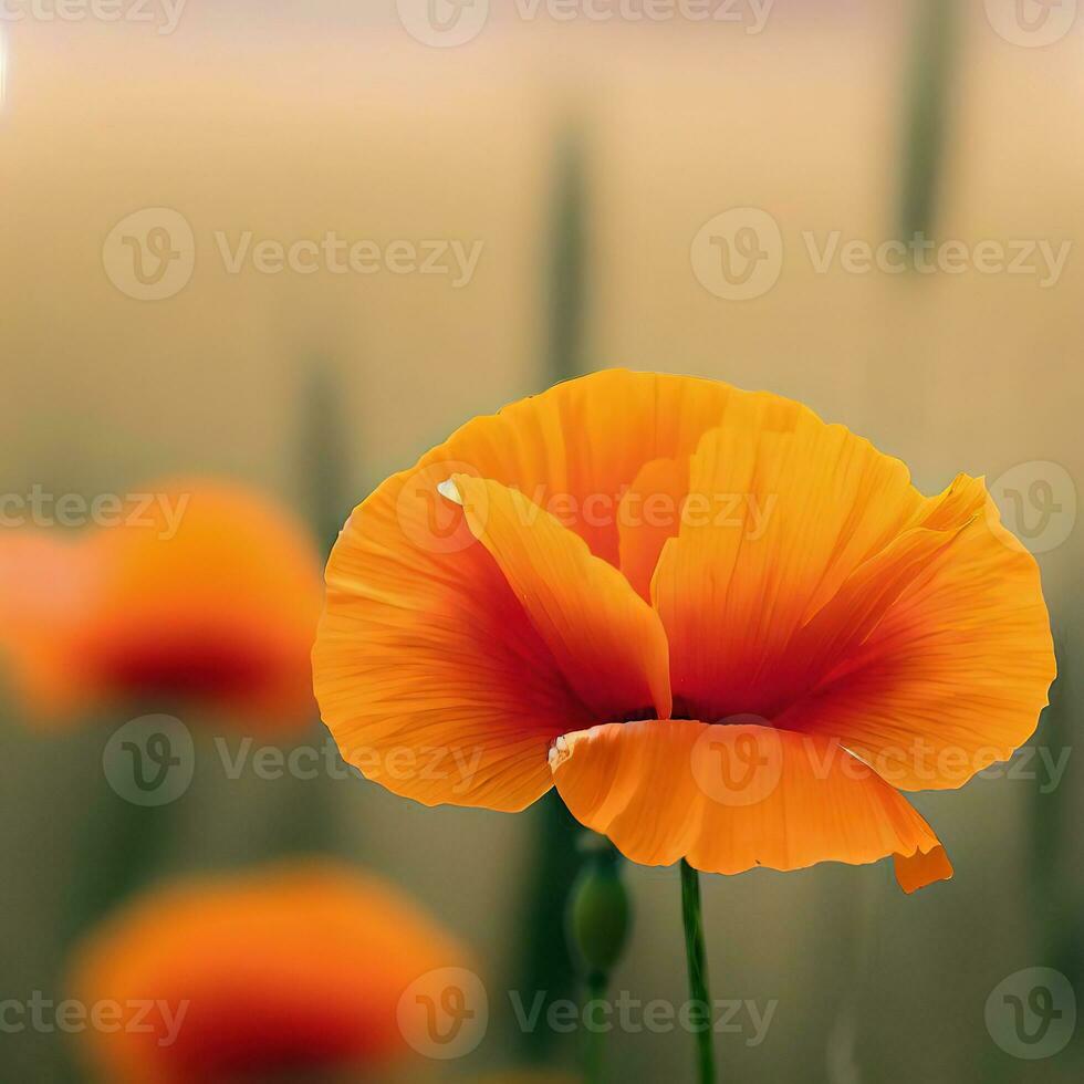 A close-up of an orange poppy reveals its bold and captivating beauty ,AI Generated photo