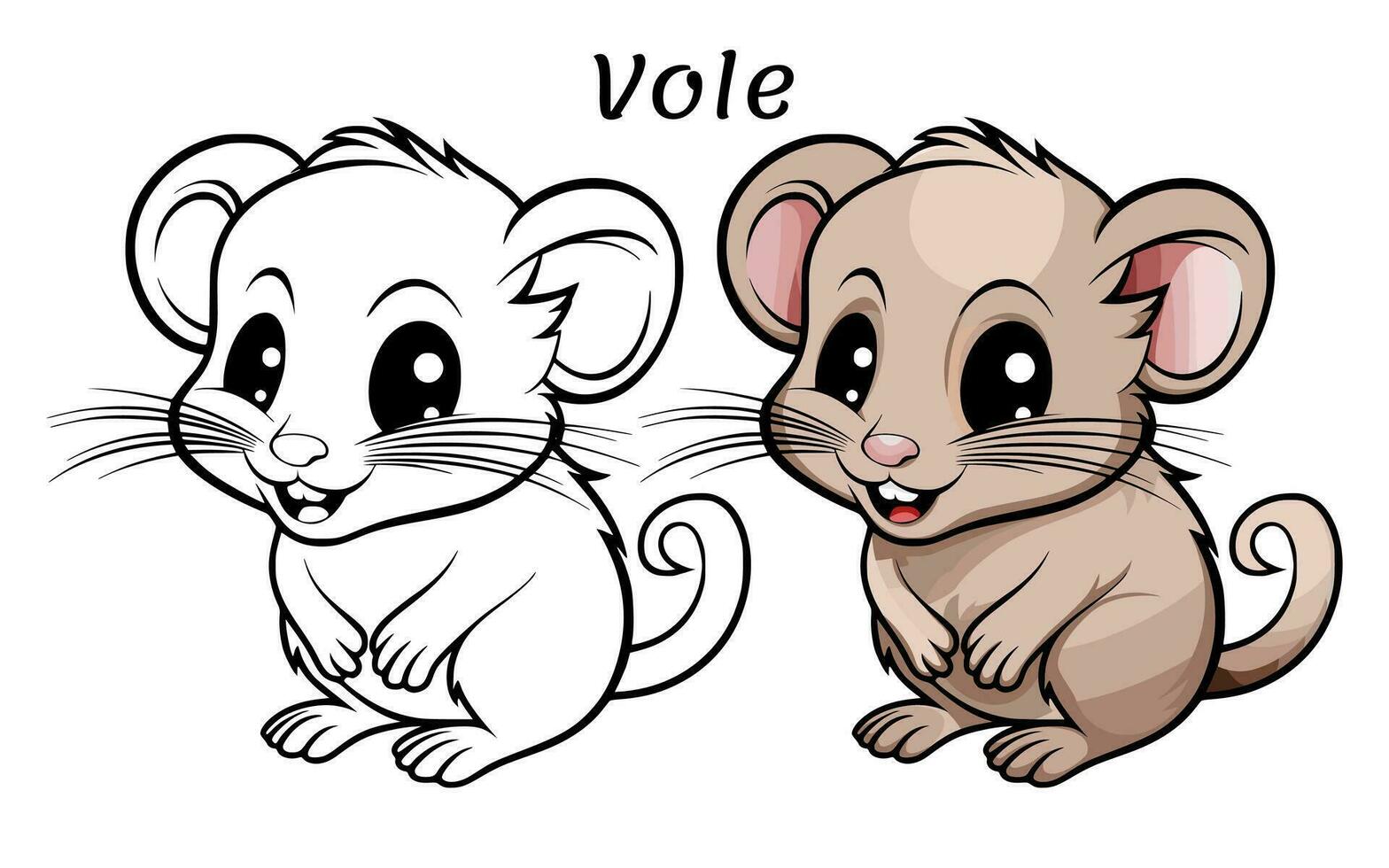 Vole cute animal coloring book illustration vector