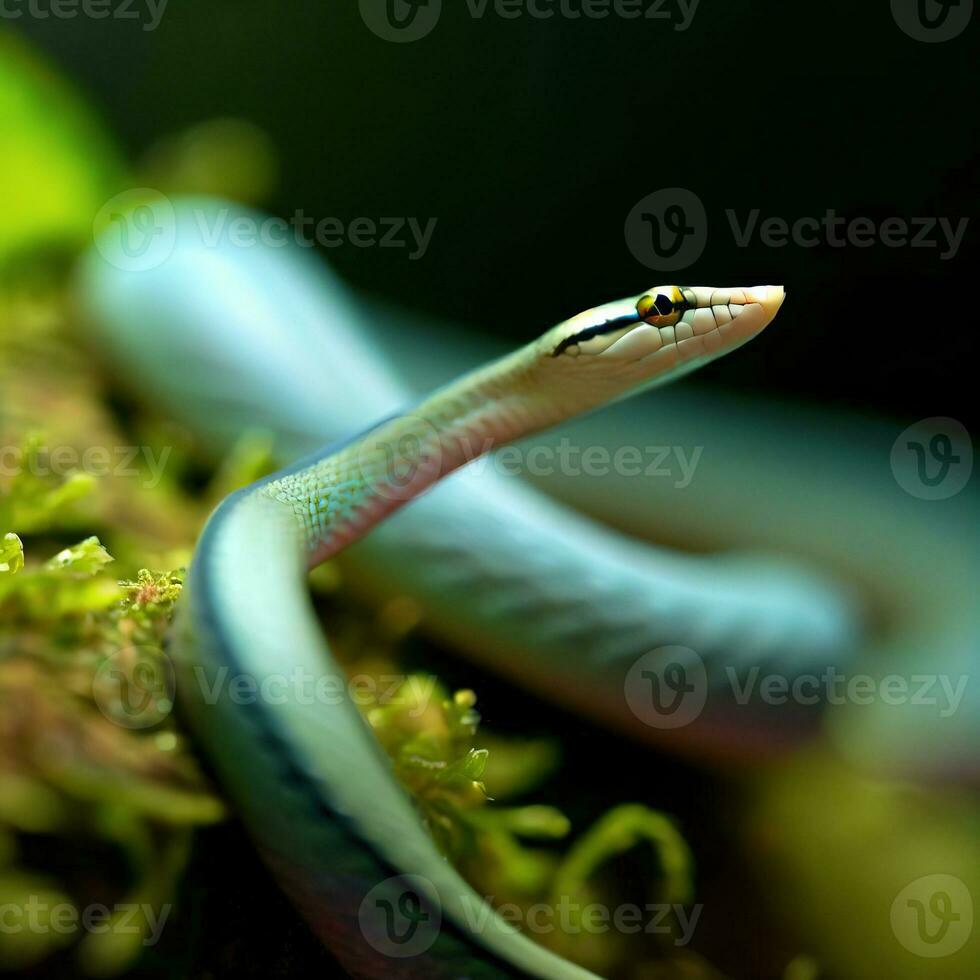 The Dendrelaphis pictus glides gracefully through its lush jungle habitat ,AI Generated photo