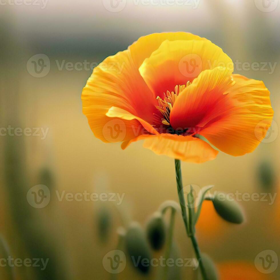 the orange poppy stands out with its striking color and unique form ,AI Generated photo