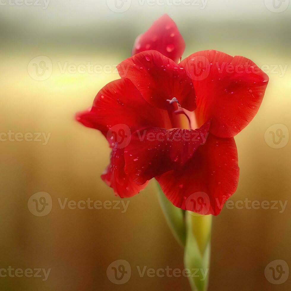 un macro ver de el gladiolo Destacar el delicado belleza de sus pétalos ,ai generado foto