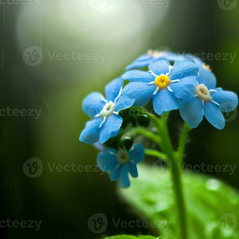 The forget-me-not's vivid blue petals shine brightly in the macro lens ,AI Generated photo
