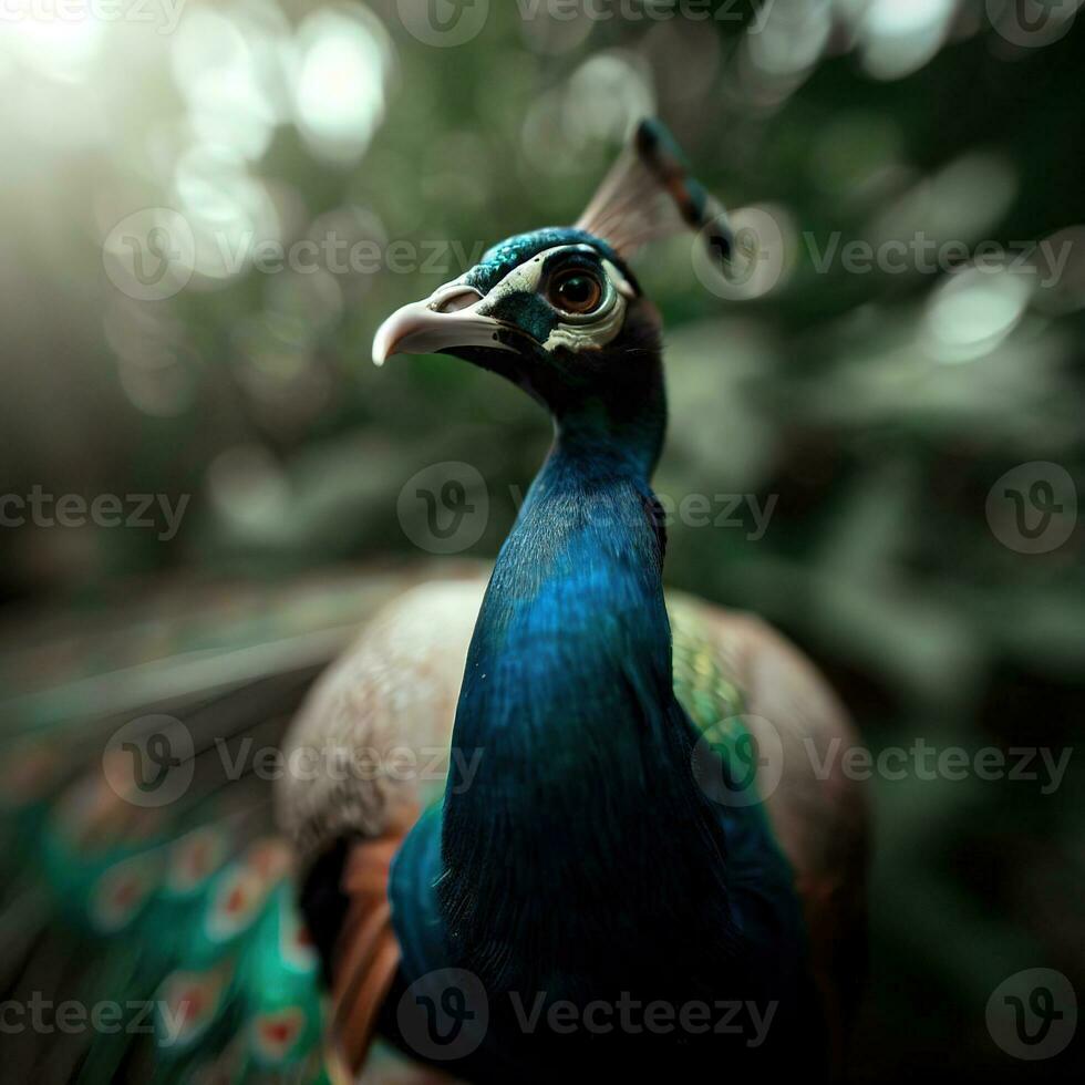 A peacock displays its magnificent plumage, showcasing its royal beauty ,AI Generated photo