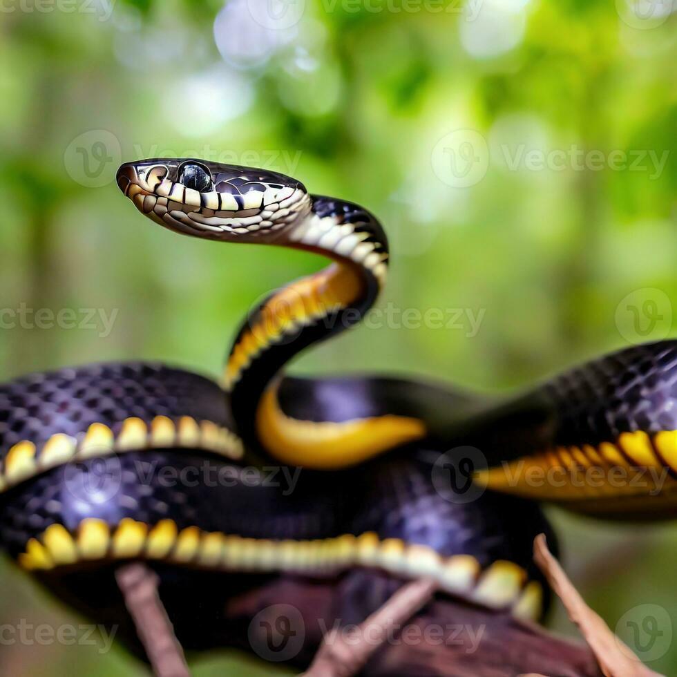 The Mangrove Snake showcases its graceful and agile movements up close ,AI Generated photo