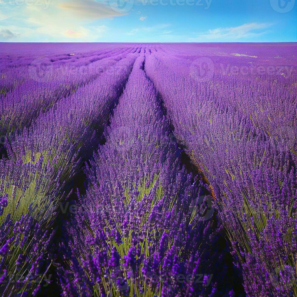 The gentle breeze rustles the lavender, creating a soothing melody in the fields ,AI Generated photo