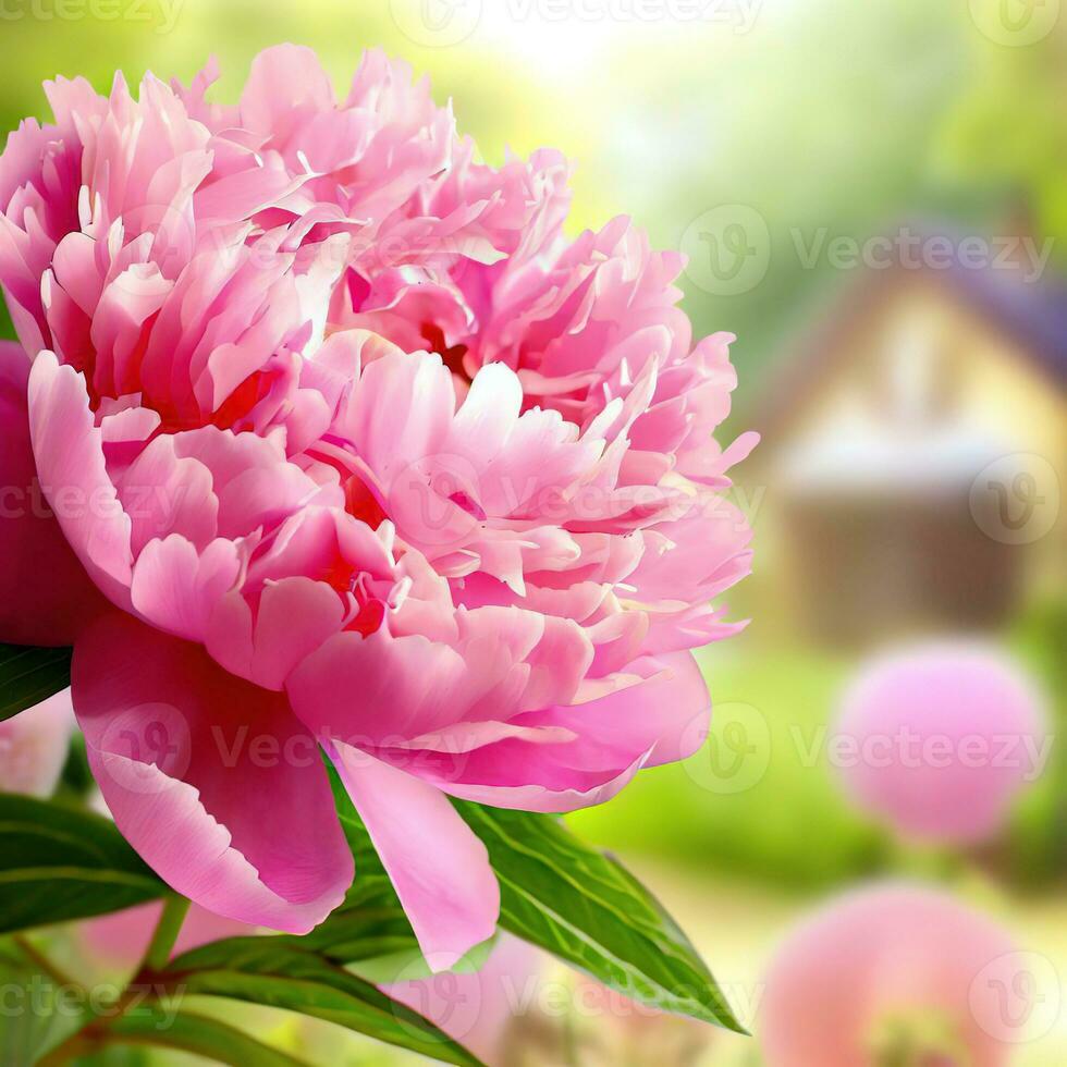 A close-up of a Chinese peony captures the exquisite details of its delicate petals ,AI Generated photo