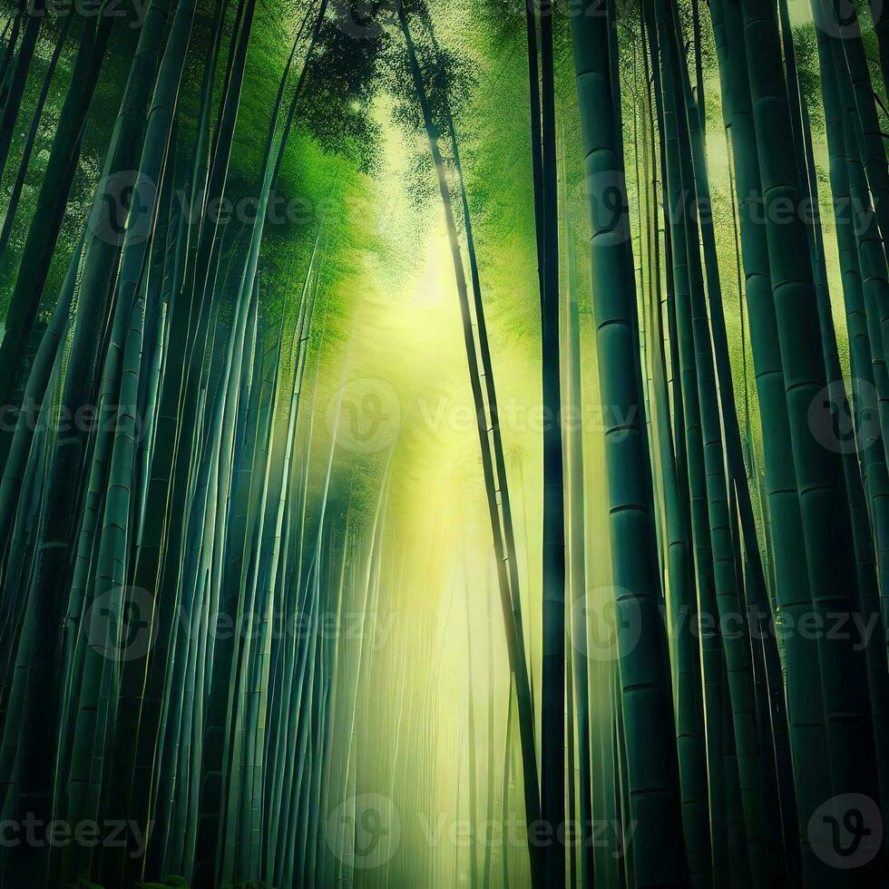 Bamboo forest high bamboos, morning in bamboo forest, long bamboo trees ,AI Generated photo