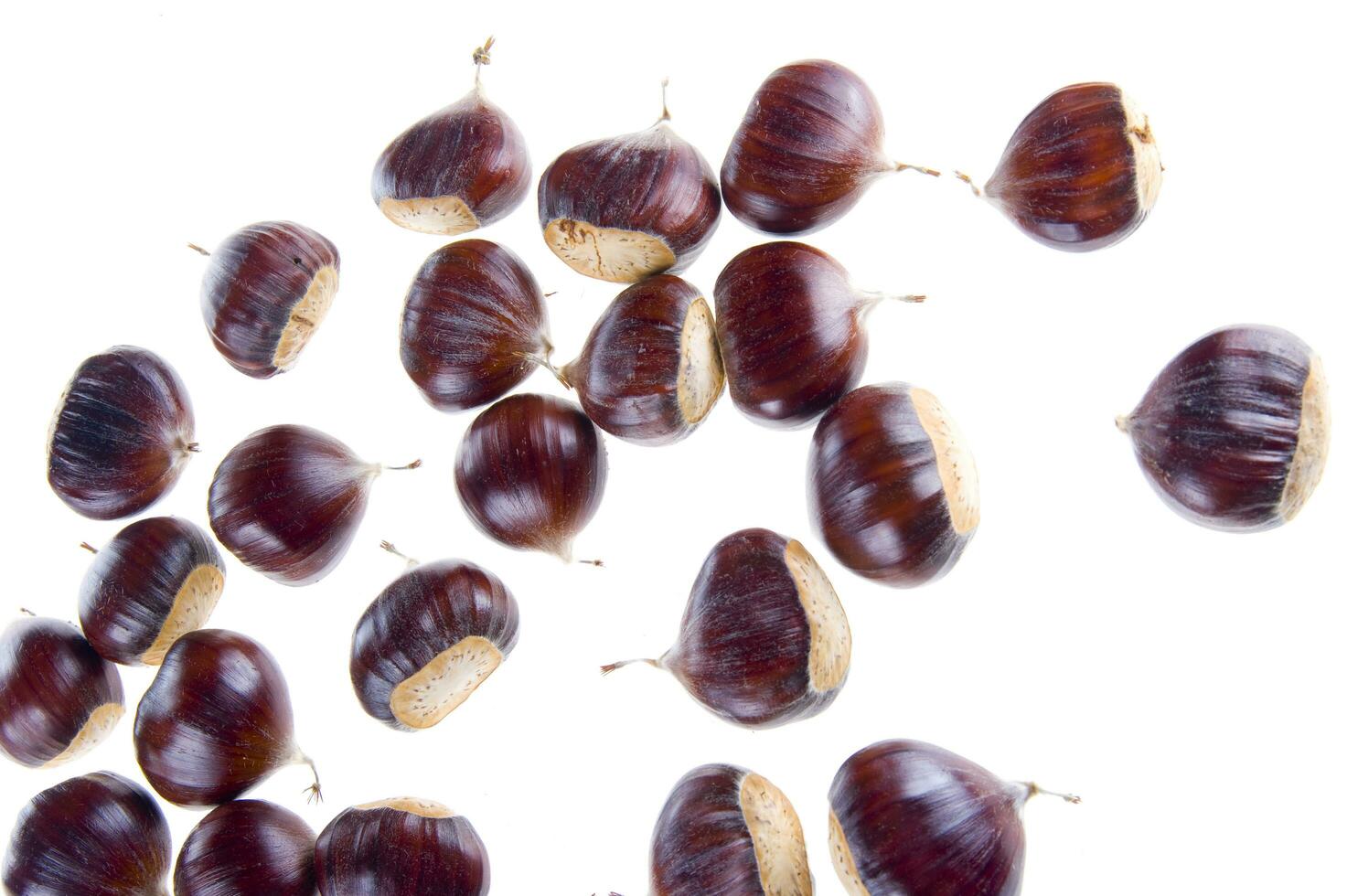 a group of chestnuts on a white background photo