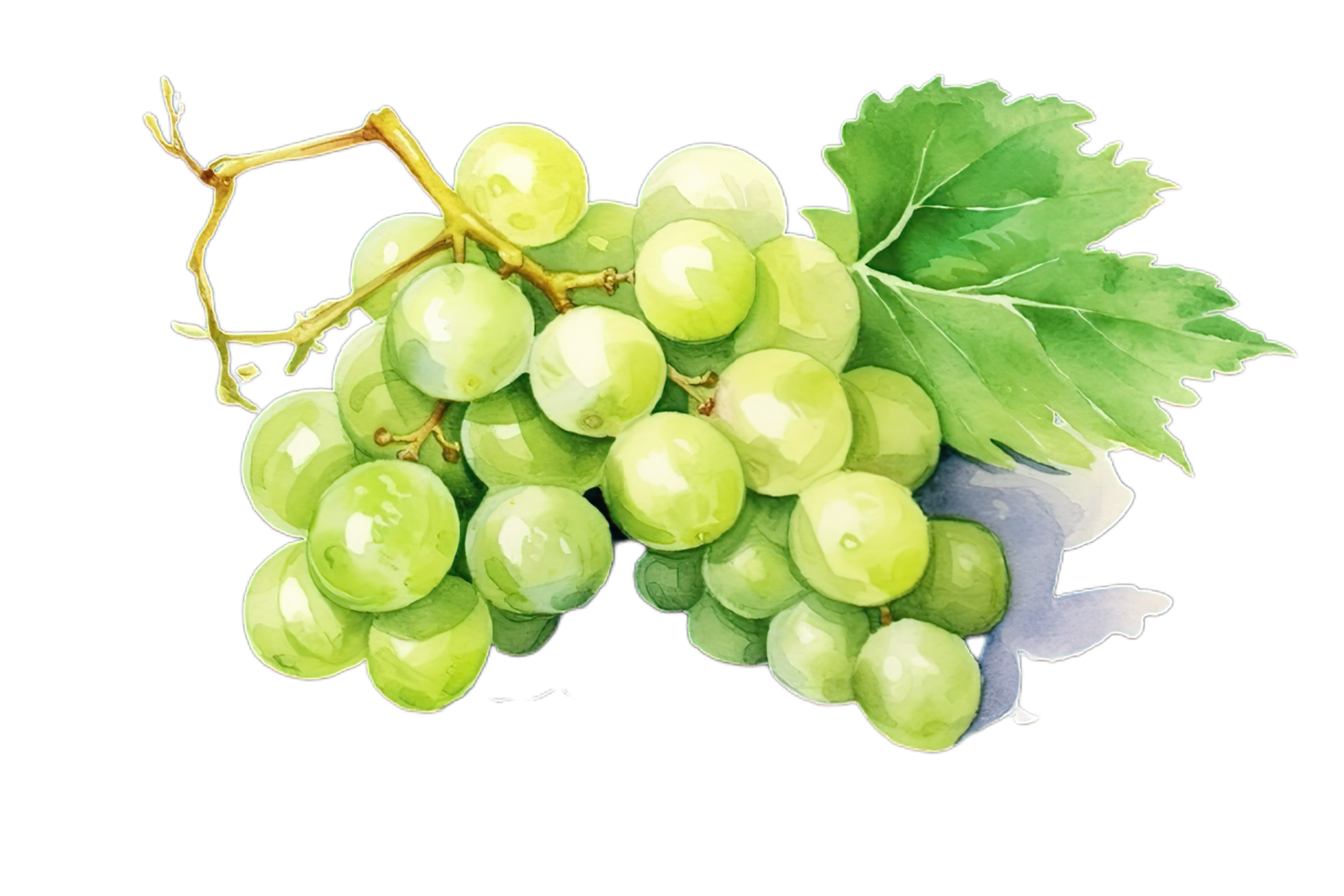 grapes watercolor clipart png,AI Generative png