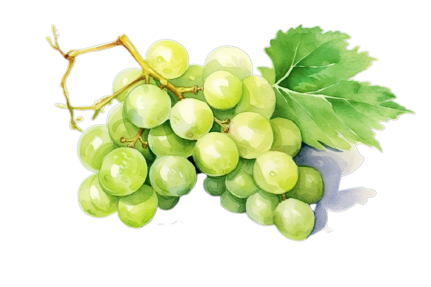 les raisins aquarelle clipart png,ai génératif png