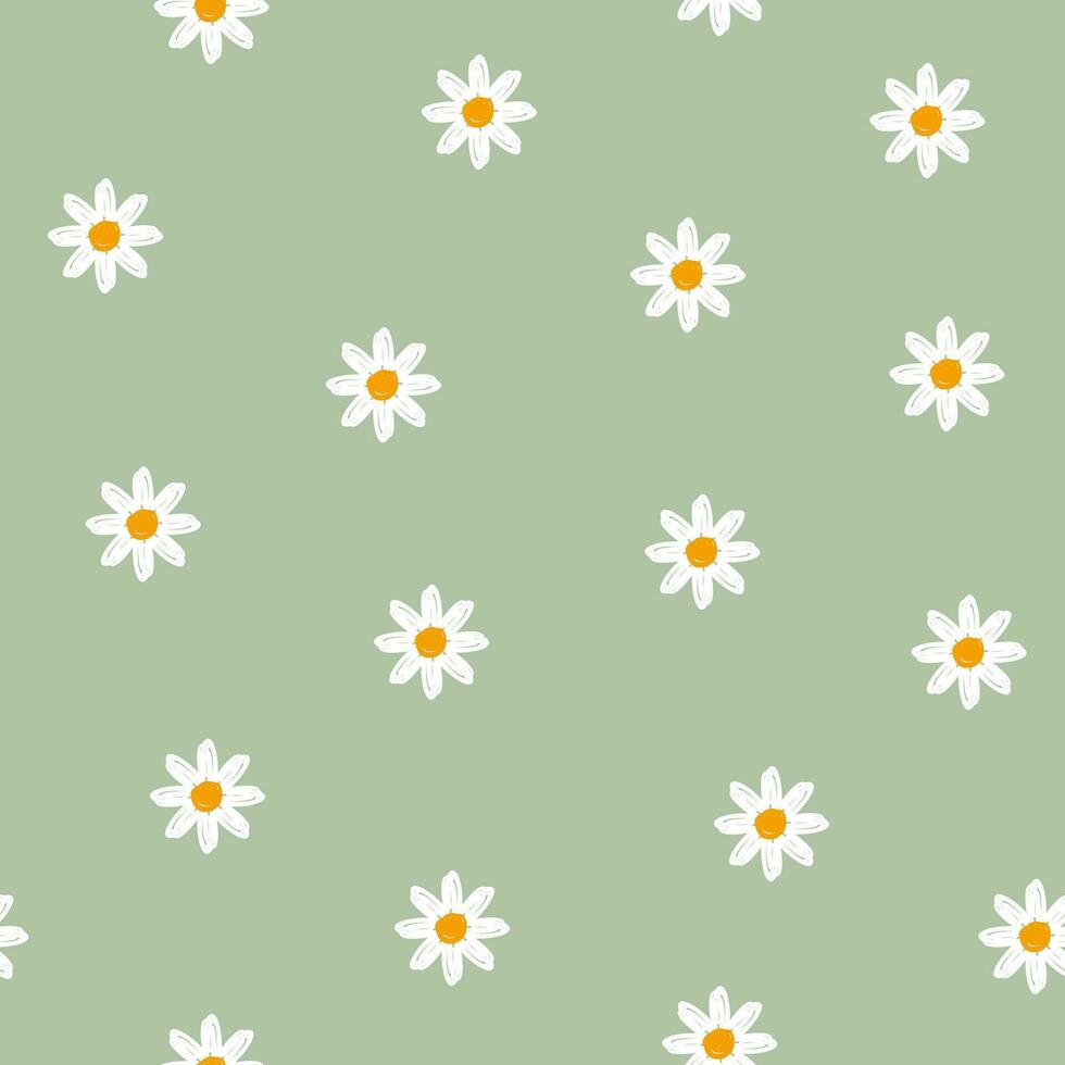 hand drawn daisy flower seamless pattern vector, simple cute flower background vector