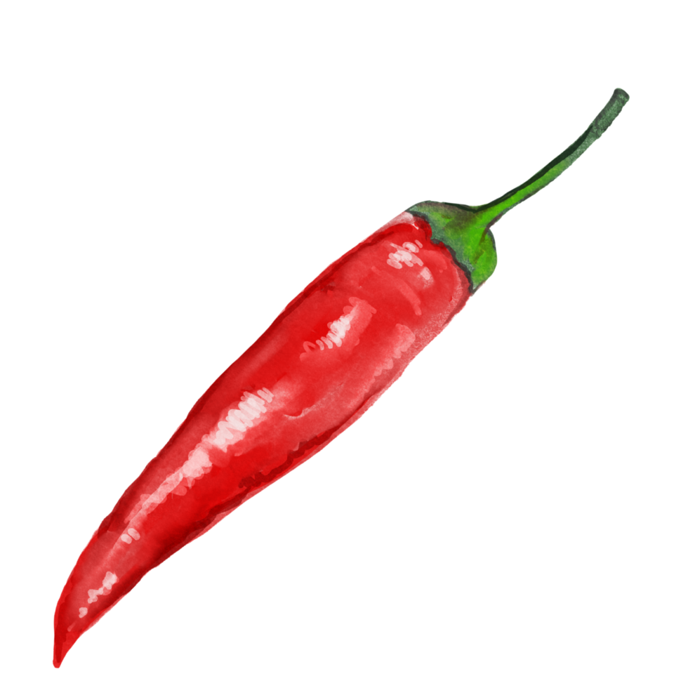 chili paprikor kryddad röd grön gul png