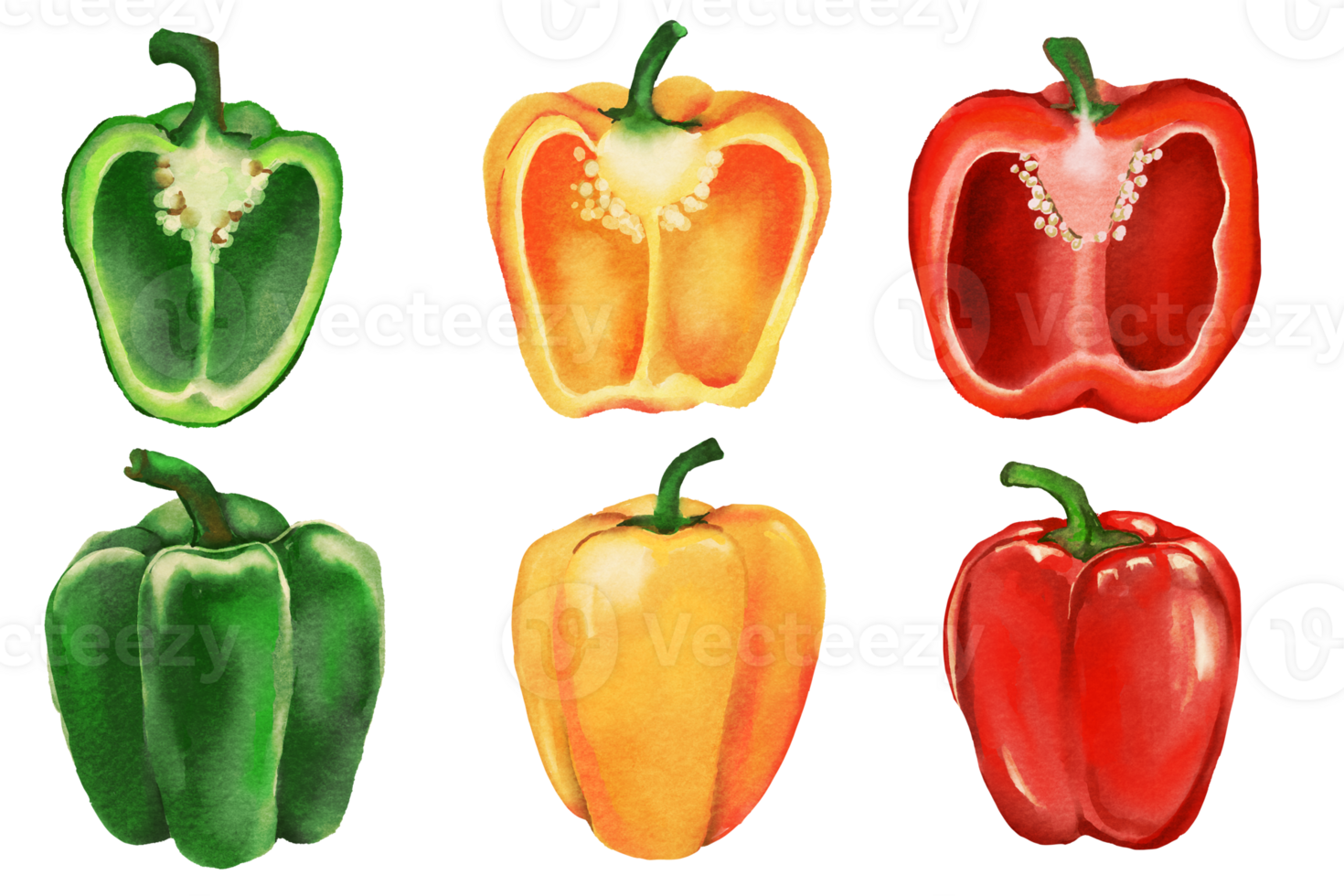 Chili einstellen von Pfeffer würzig rot Grün Gelb png