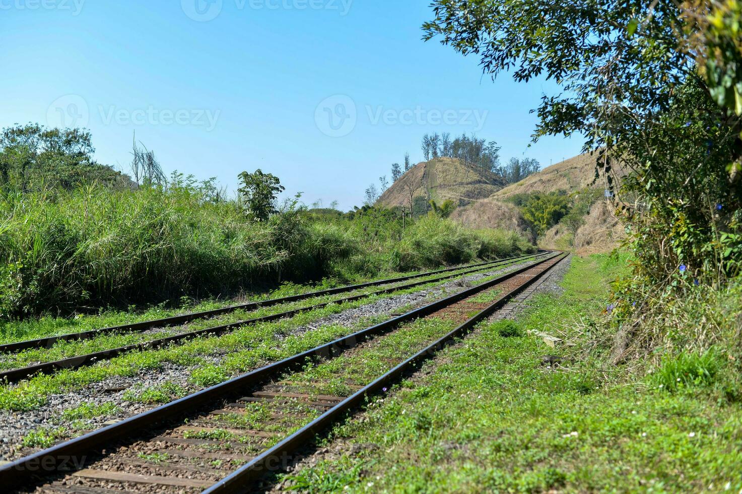 view of railway in rural area photo