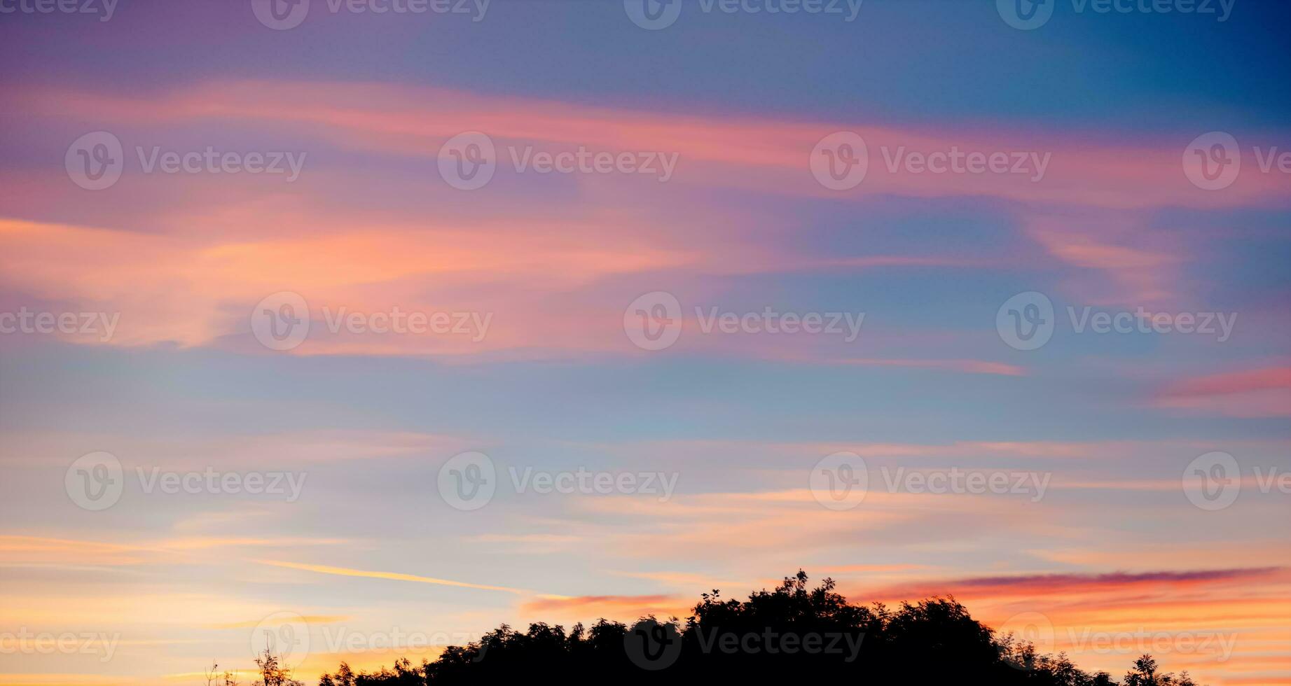 Sunset sky landscape background,Beautiful Pastel Sunlight with fluffy Cloud,Idyllic nature Sundown and twilight sky with silhouette forest tree, peaceful Majestic sunrise in Autumn photo