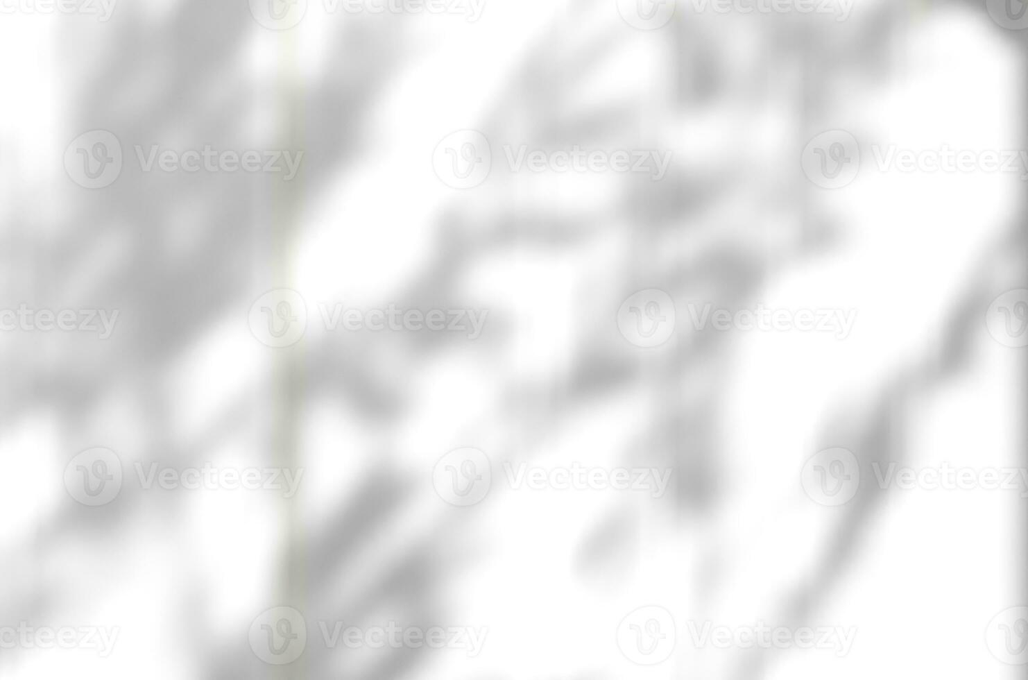Blurry Shadow leaves with light on white curtain, Shadow tree with branches leaves reflection from window. Element design for Mockup, Copy space for text photo