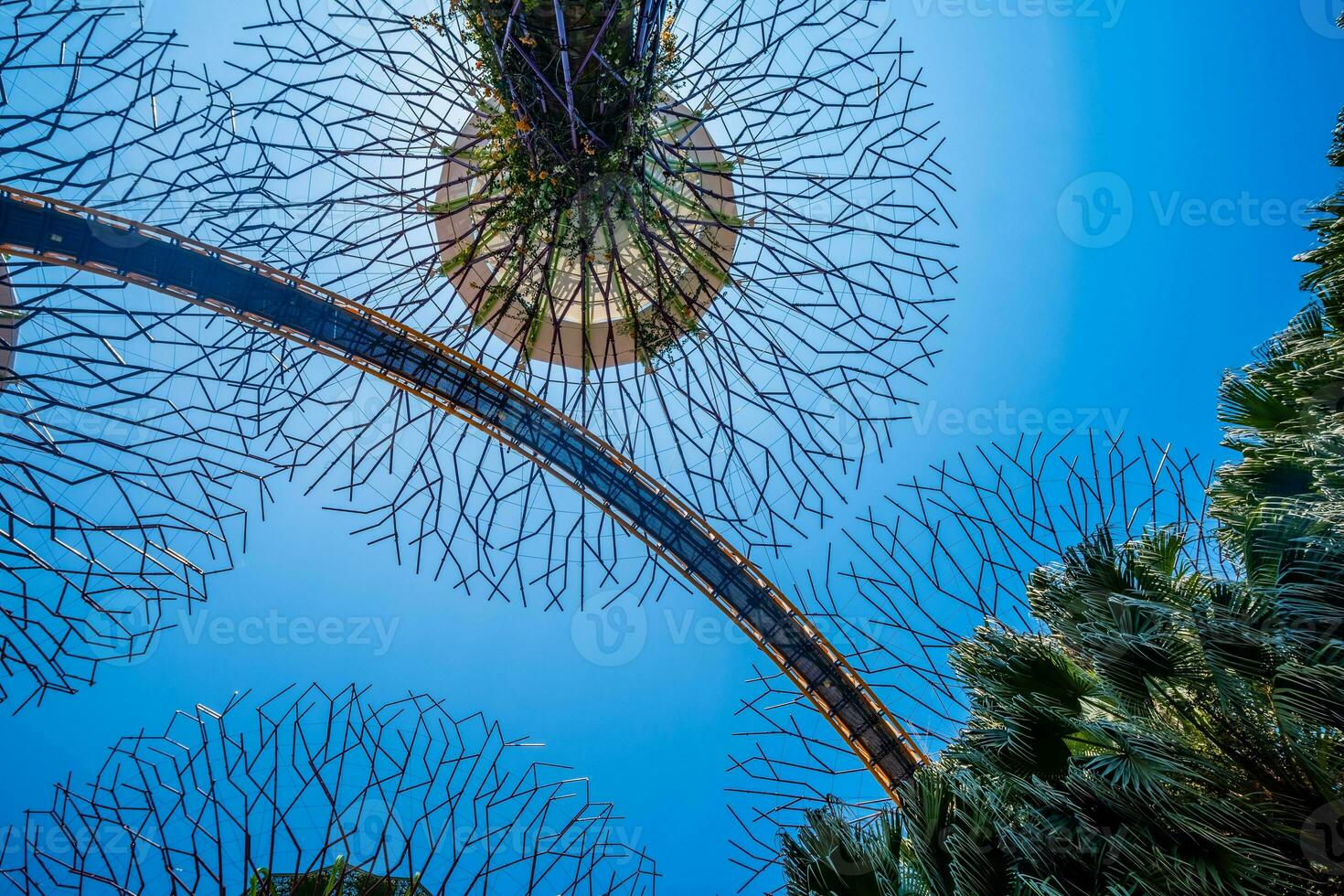 Walkway at The Supertree Grove at Gardens by the Bay in Singapore photo