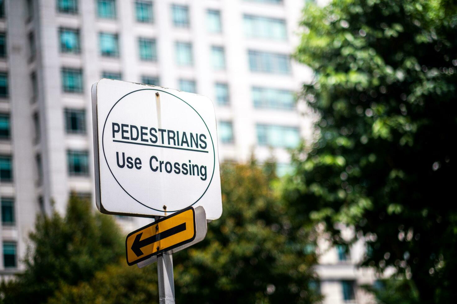 The pedestrian zone road sign with white color photo