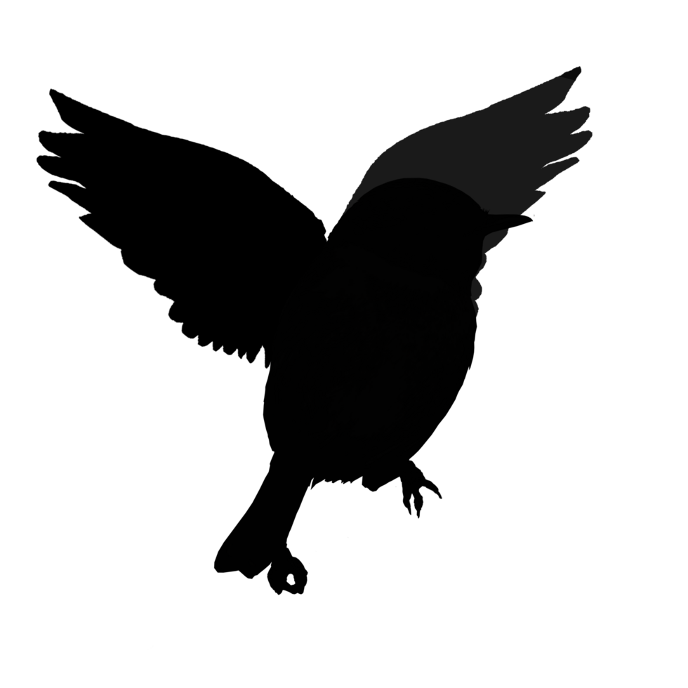 Logo Symbol klein Vogel fliegend png