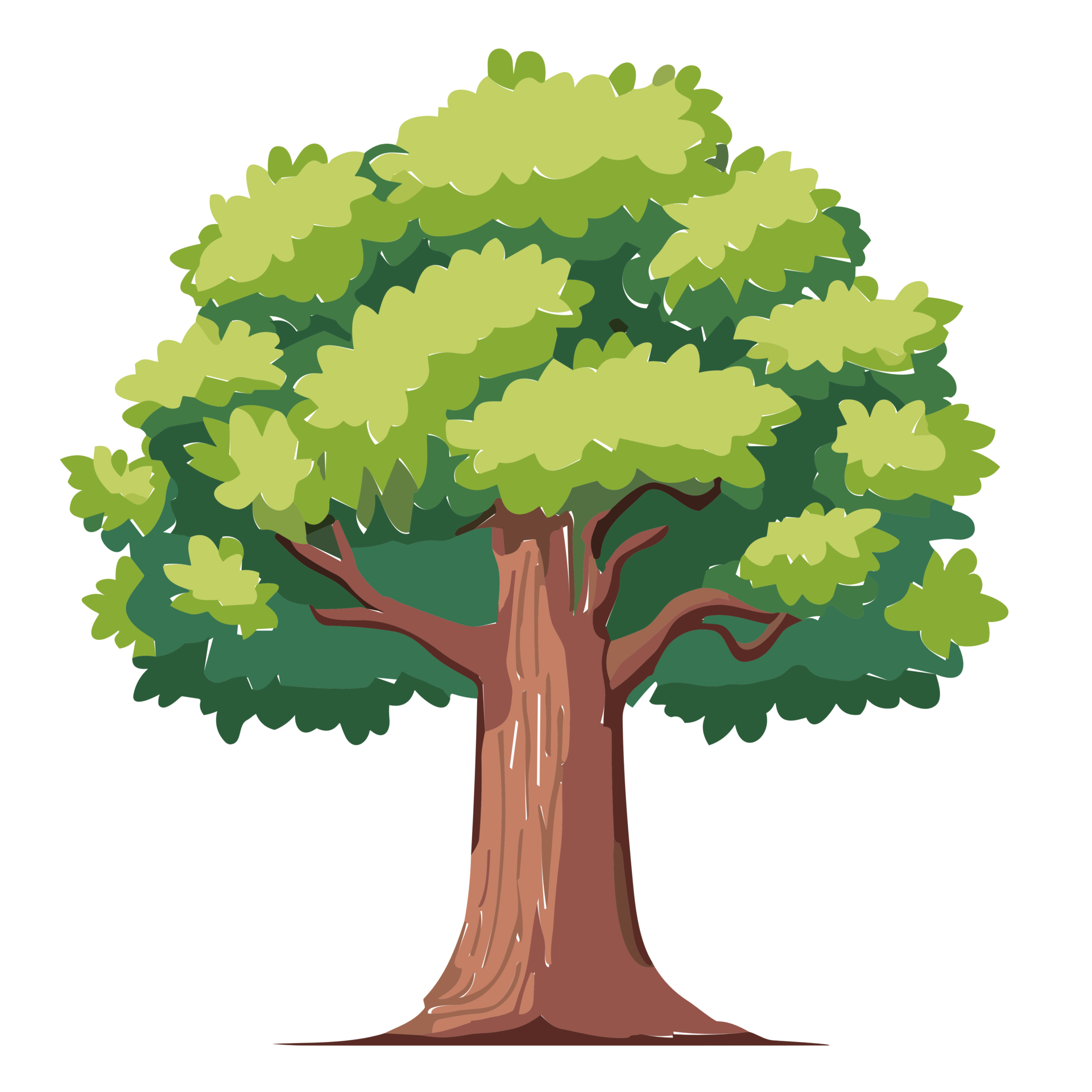 Oak trees illustration. Can be used to illustrate any nature or healthy