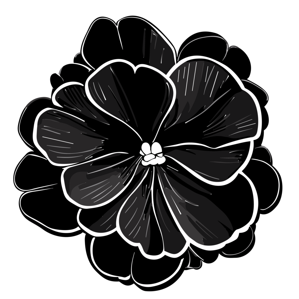 Impatiens flower, ai generative 30728941 PNG