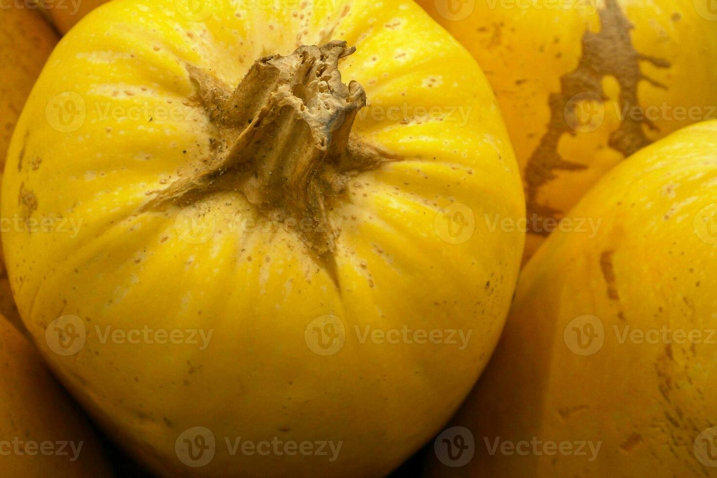 Stack of Spaghetti Squashes on a market stall photo