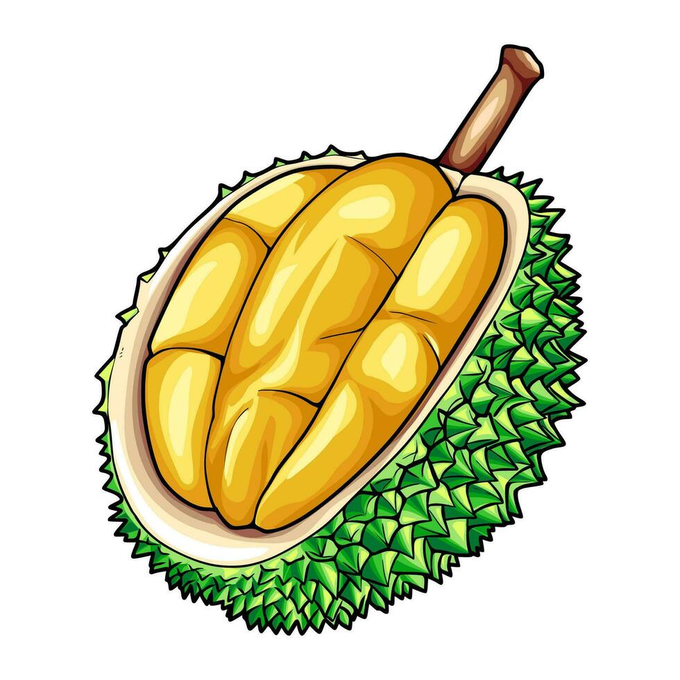 KING FRUIT VECTOR