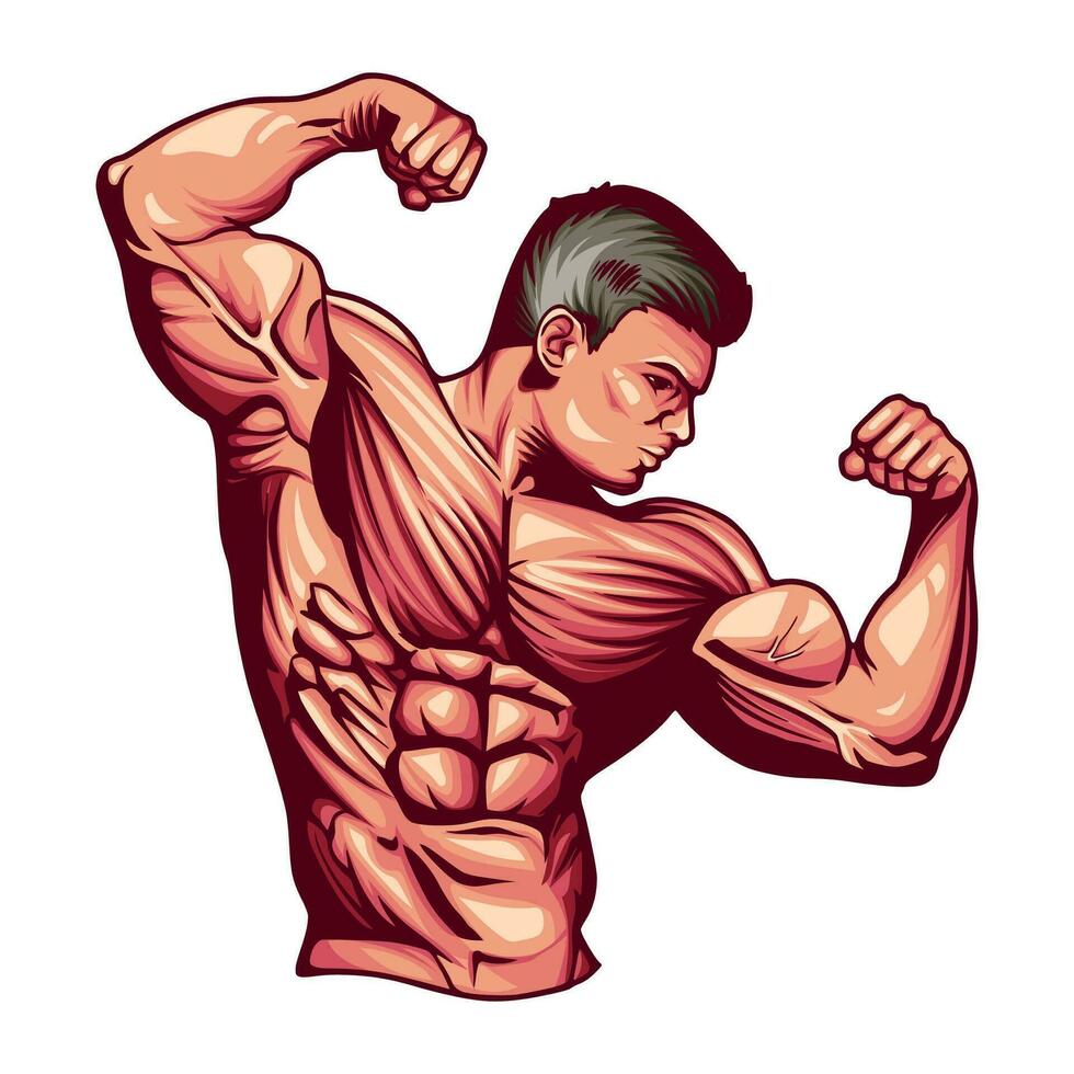 BODYBUILDER MAN VECTOR