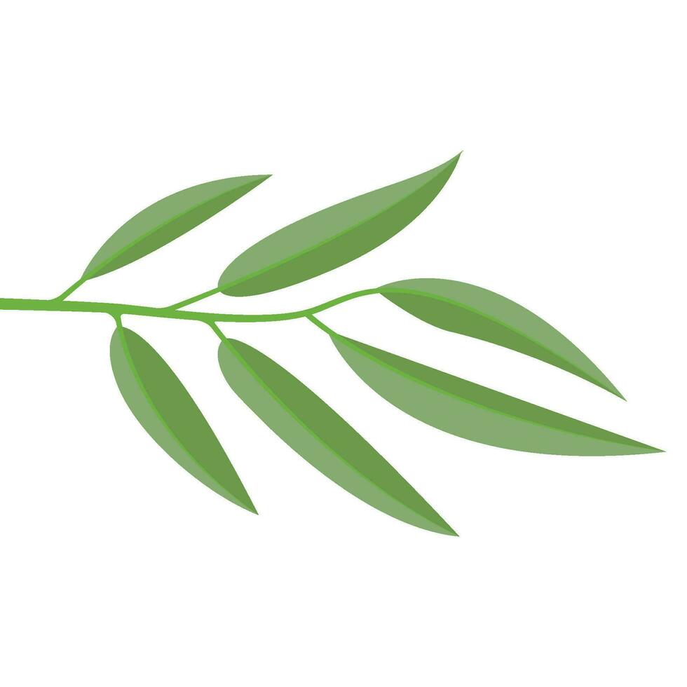 Eucalyptus oil leaf icon vector