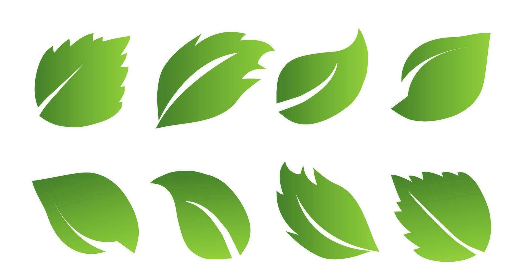 A set of green leaves on a white background, for logos, icons, designs, for the symbolism of the green planet vector