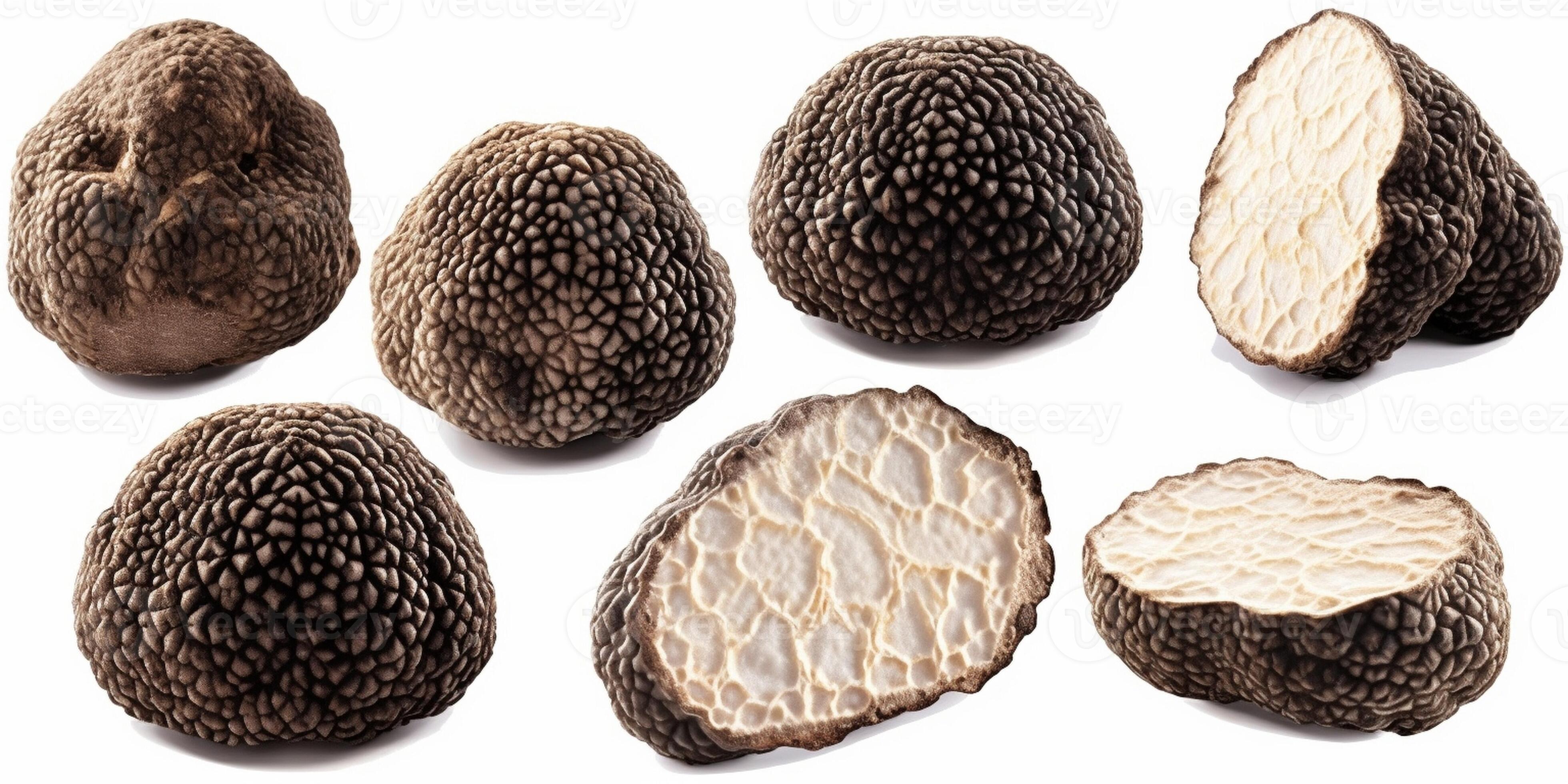 white and black truffles mushroom gourmet vegetable, Generative AI