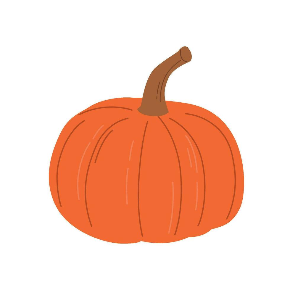 Orange pumpkin vector illustration. Autumn halloween pumpkin, vegetable graphic icon or print, isolated on white background.