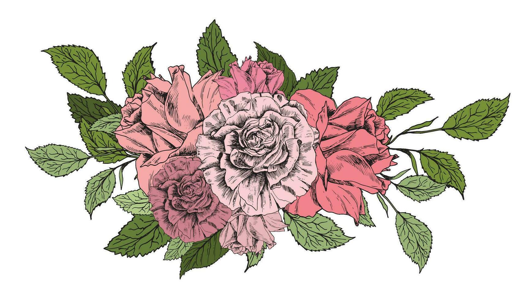 Compositions of flower arrangements. Pink pale roses, various flowers, green leaves. asiatic buttercup. Hand drawn sketch. For print, design, package, flyer, fabric vector