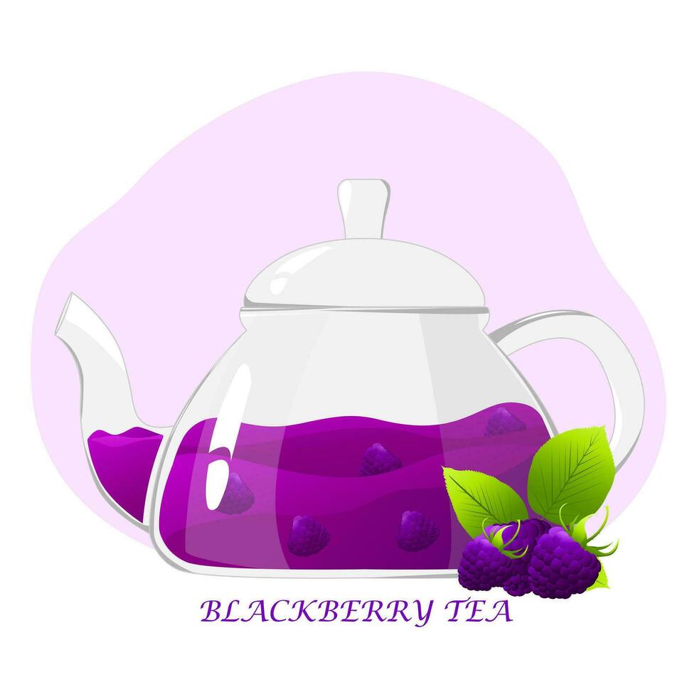 Glass teapot with berry tea.Transparent glass teapot with blackberry tea. Healthy drinks concept.Vector illustration for cafes, advertisements, banners vector