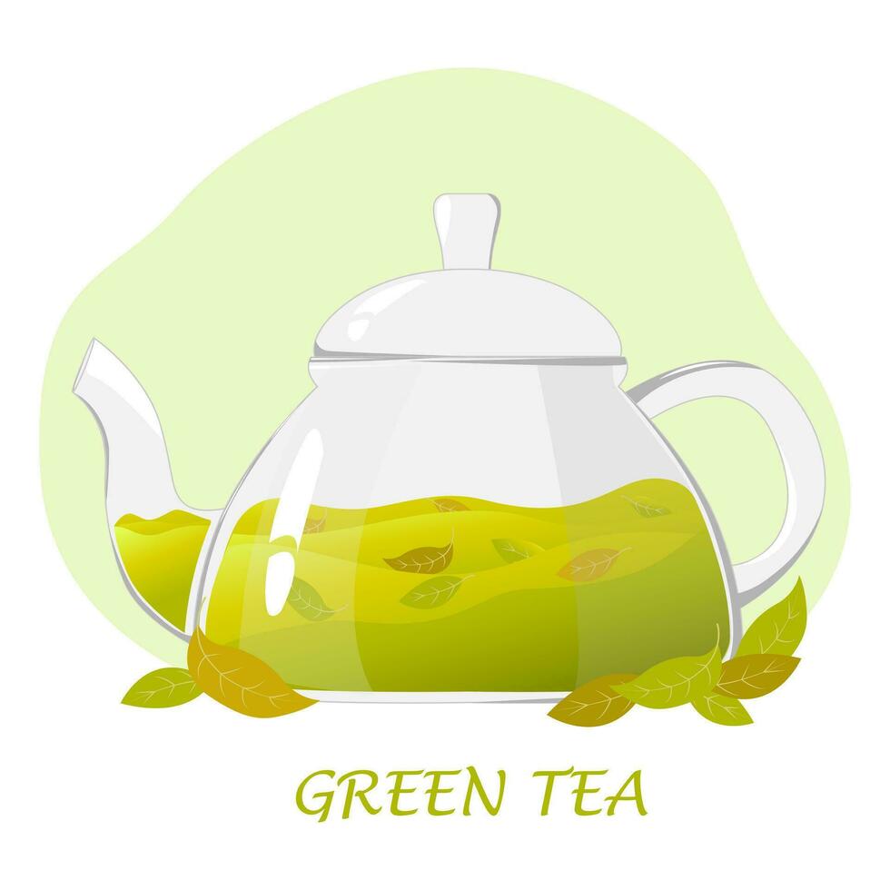 Glass teapot with green tea.Transparent glass teapot with green tea leaves. Healthy drinks concept.Vector illustration for cafes, advertisements, banners vector